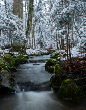 winter water