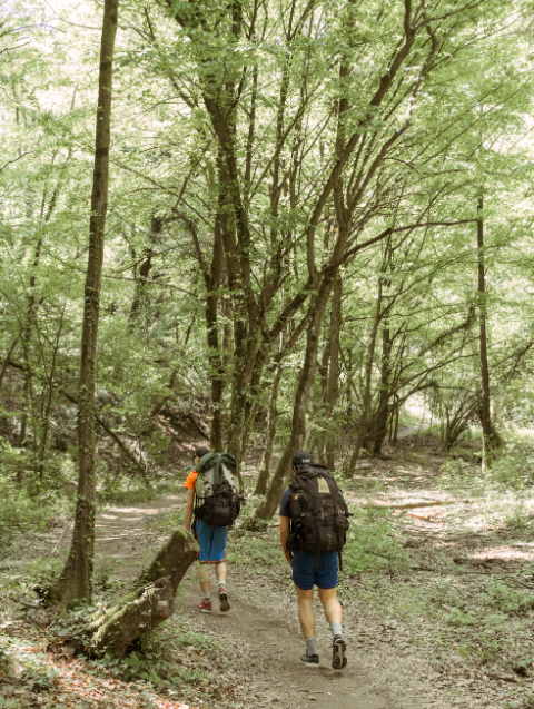 hiking
